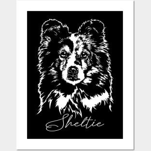 Funny Proud Sheltie Sheepdog dog portrait Posters and Art